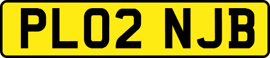 PL02NJB