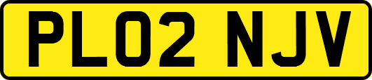 PL02NJV