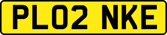 PL02NKE