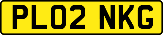 PL02NKG