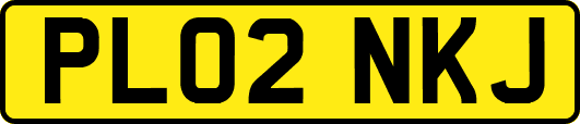 PL02NKJ