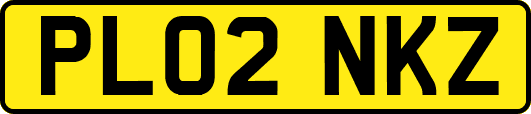 PL02NKZ