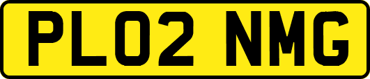 PL02NMG