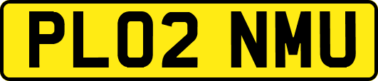 PL02NMU