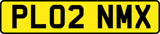 PL02NMX