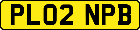 PL02NPB