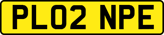 PL02NPE