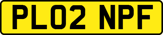 PL02NPF