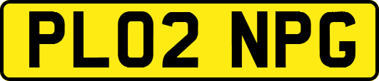 PL02NPG