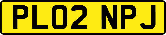 PL02NPJ