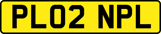 PL02NPL