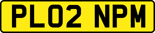 PL02NPM