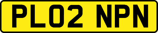 PL02NPN