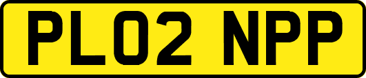 PL02NPP