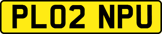 PL02NPU