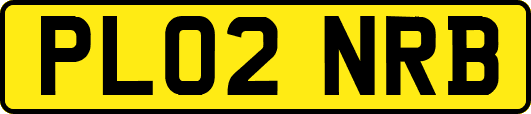 PL02NRB