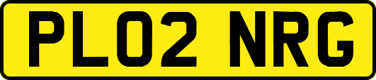 PL02NRG