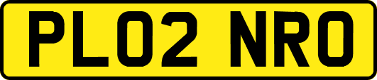 PL02NRO