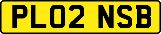 PL02NSB