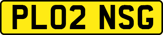PL02NSG
