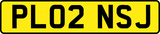 PL02NSJ