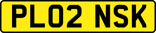 PL02NSK