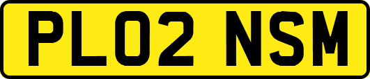 PL02NSM