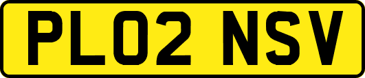 PL02NSV