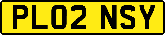 PL02NSY
