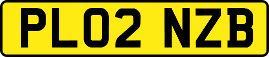 PL02NZB
