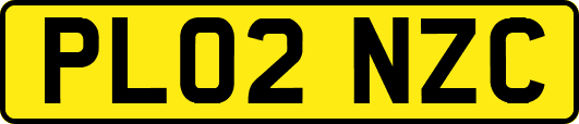 PL02NZC