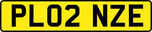 PL02NZE