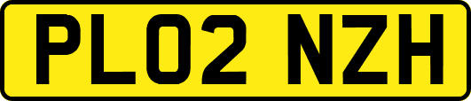 PL02NZH