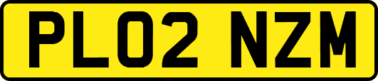 PL02NZM