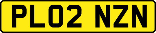 PL02NZN