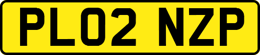 PL02NZP
