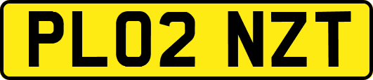 PL02NZT