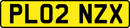 PL02NZX