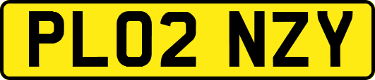 PL02NZY