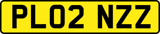 PL02NZZ