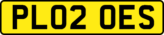 PL02OES