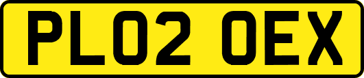 PL02OEX