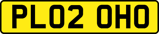PL02OHO