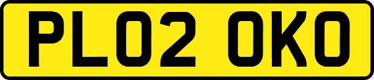 PL02OKO