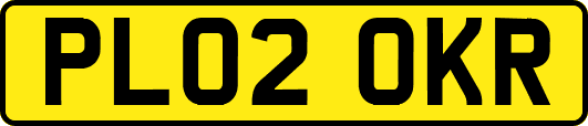 PL02OKR