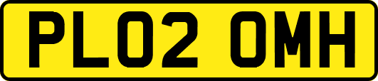 PL02OMH