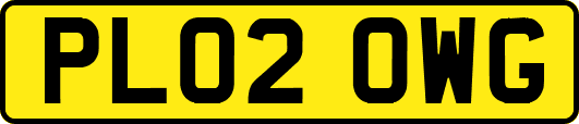 PL02OWG