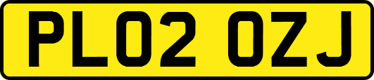PL02OZJ