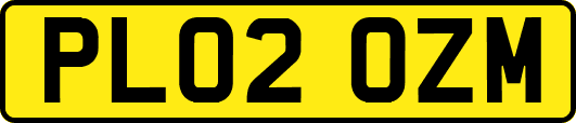 PL02OZM