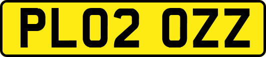 PL02OZZ
